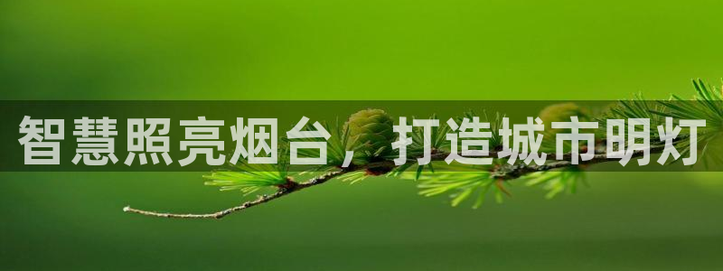 云顶国际体育官方网站下载