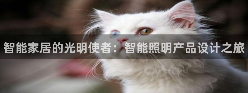 云顶集团林东简介