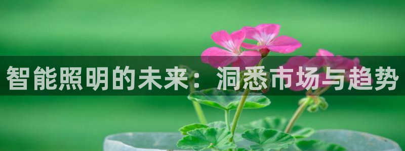 云顶国际官网官方网站