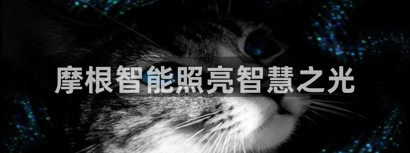 云顶国际yd333