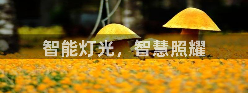 云顶国际怎么才能提现