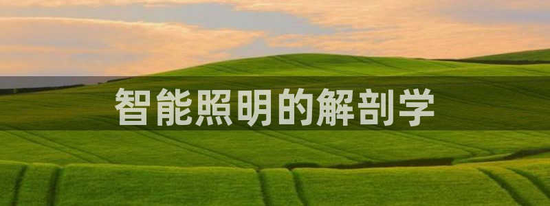 云顶集团老总个人资料