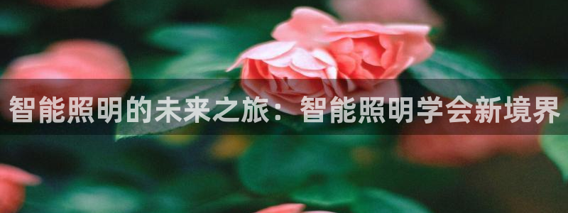云顶集团招聘