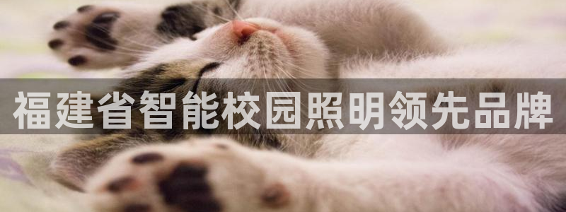 云顶国际有限公司