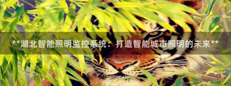 云顶国际测试服怎么进