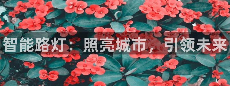 云顶国际平台游戏app