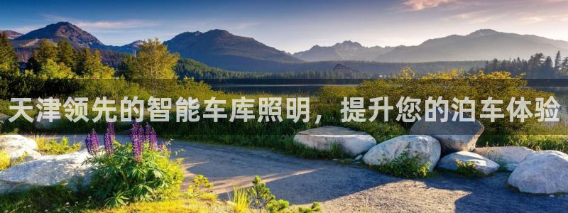 云顶国际服怎么登录