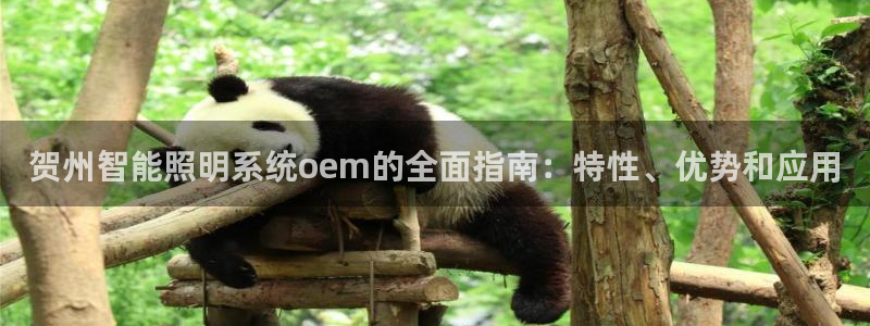 云顶国际软件官网下载