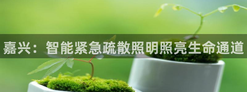 云顶国际投资有限公司怎么样