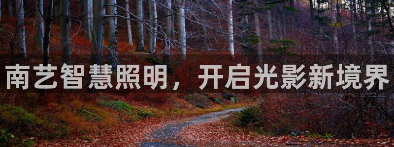 南昌云顶国际公馆是商品房吗
