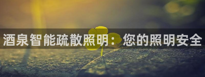 云顶国际服什么时候更新的