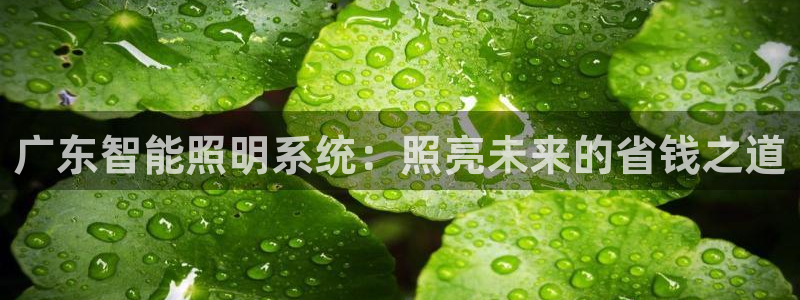 云顶国际app是什么