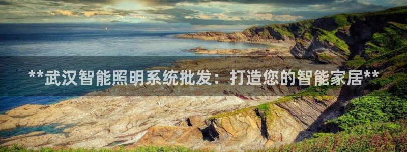 云顶国际在线购彩