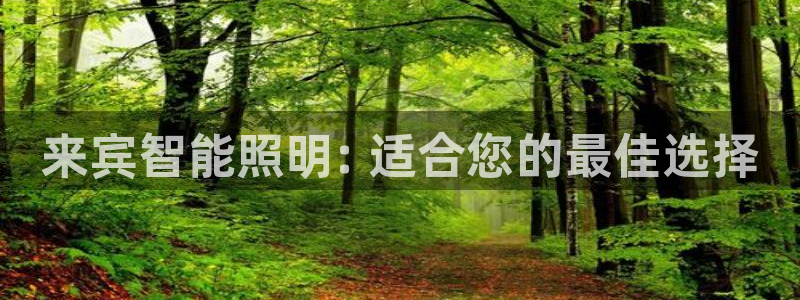 云顶国际集团游戏app