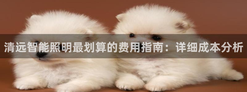 云顶集团公司简介