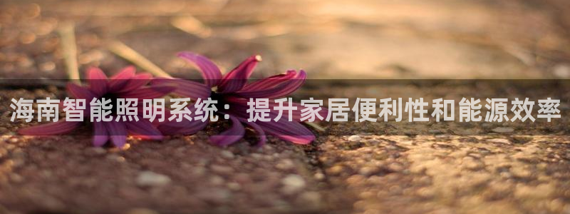 云顶国际物流有限公司