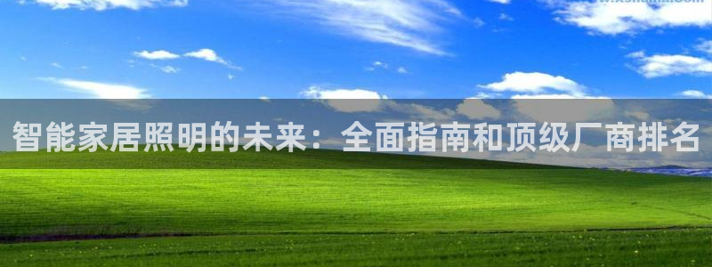 云顶国际服s11