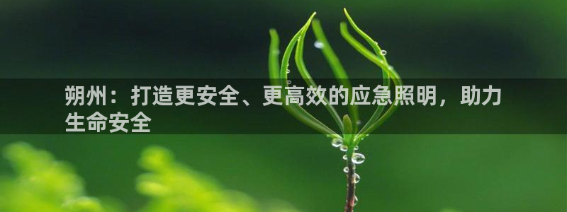 云顶国际yd333团体官网