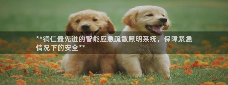 云顶国际酒店电话多少
