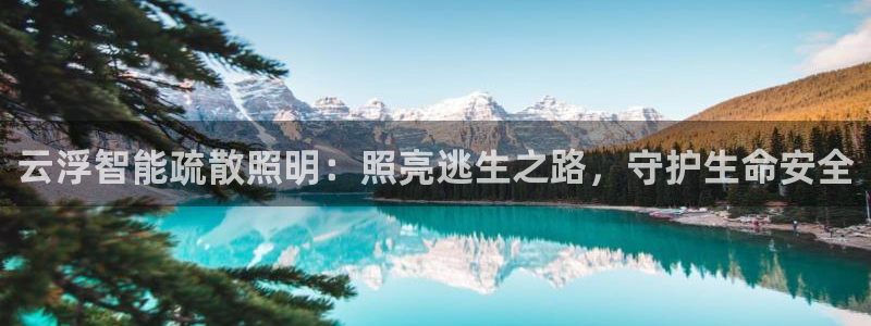 云顶集团招聘