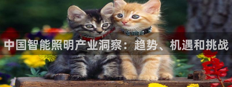云顶国际的网址是多少位