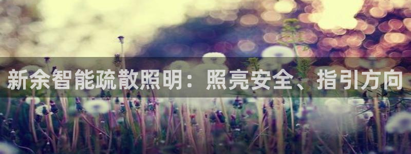 云顶集团网投领