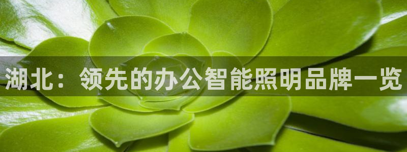 云顶国际公馆是公寓吗