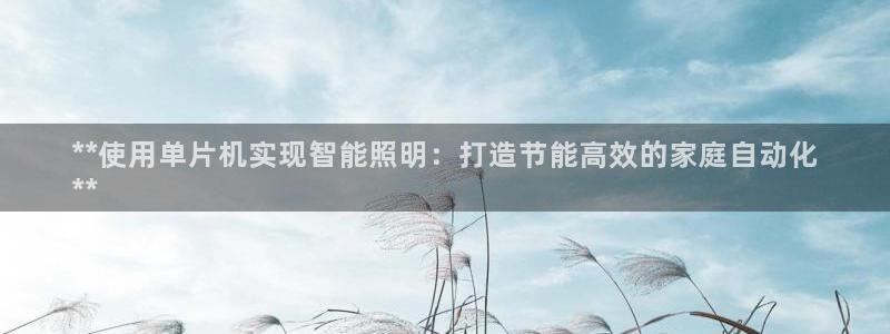 云顶国际服账号