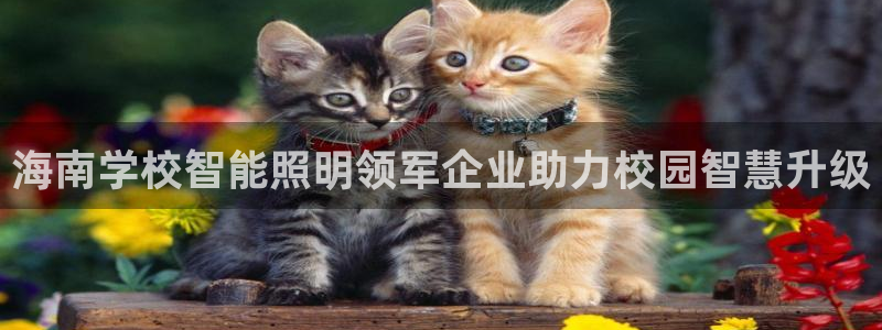 云顶国际app官方下载安装手机版
