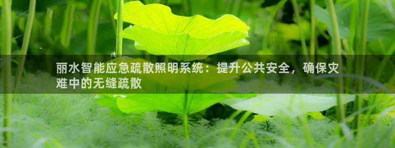 云顶国际app官网下载