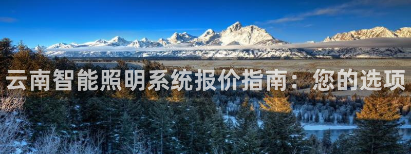 云顶国际的网址是多少