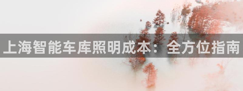 云顶集团董事长林东简历图片
