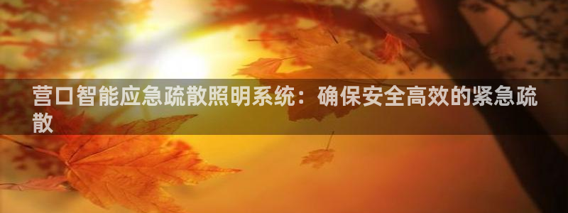 云顶国际部