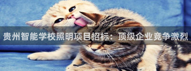 云顶国际图片