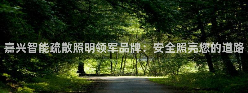云顶国际在线购彩app