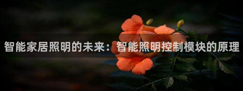 云顶国际平台游戏官网入口