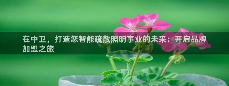 云顶国际大酒店电话
