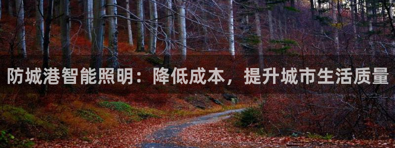 云顶国际培训机构