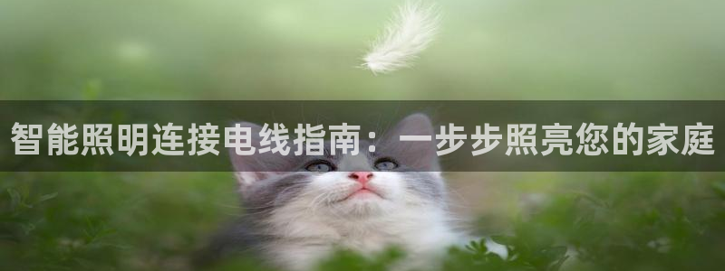 云顶国际城手机网址是多少