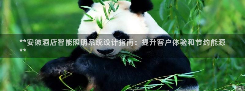 云顶国际区块链怎么样