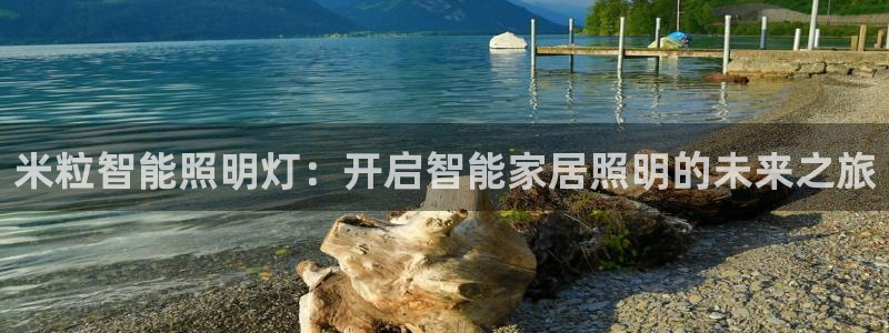 云顶集团董事长是谁