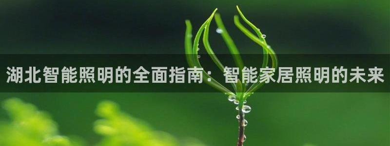云顶国际4008服务平台