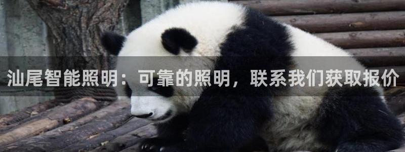 云顶国际服最新版