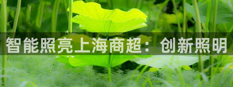 云顶国际二手房出售信息