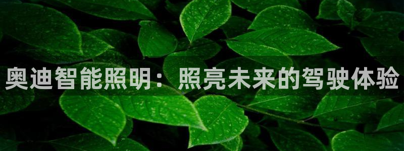 云顶国际官网官方下载