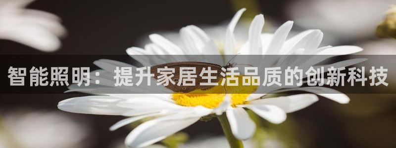 云顶国际高尔夫俱乐部怎么样