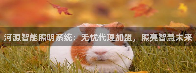 云顶国际提现多久到账户