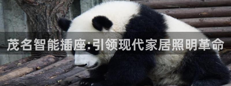 云顶国际服更新s9