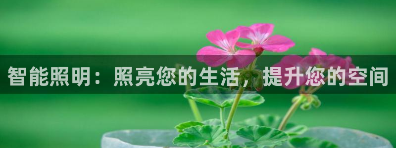太原云顶国际酒店郝睿