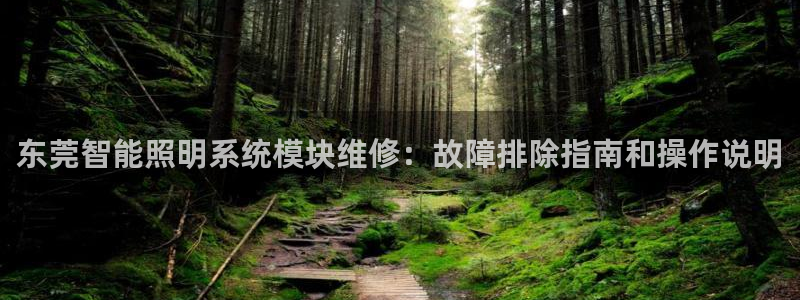 云顶国际测试服免费吗